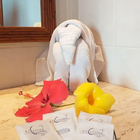 El Cerrito Apartment